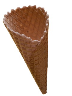 berry_cone.png
